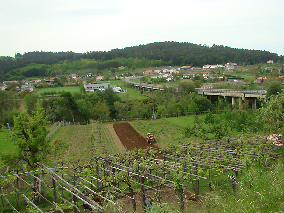 Ponte Ledesma moderna