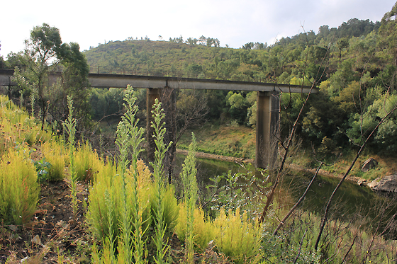 Ponte da Agra